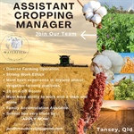 Assistant Cropping Manager - Tansey