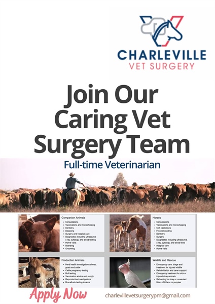 Veterinarian - Charleville