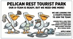 Team Member