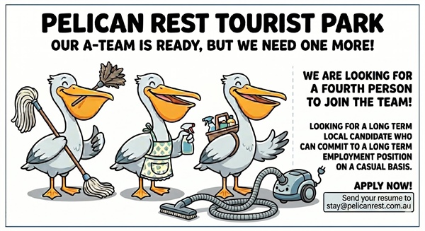 Team Member
