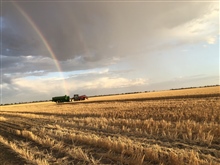 Ag harvest