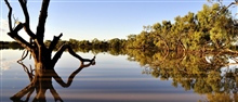 Landscape Bulloo Lagoon