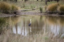 Waterholelandscape