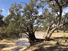 Waterways Adavale Blackwater Creek