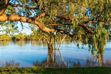 Waterways Andrew Walker Balonne River 2020