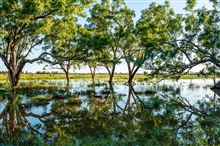 Waterways Andrew Walker Flood phot0 2020